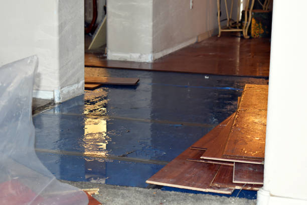Professional Burst Pipe Cleanup technician working in Waelder, TX